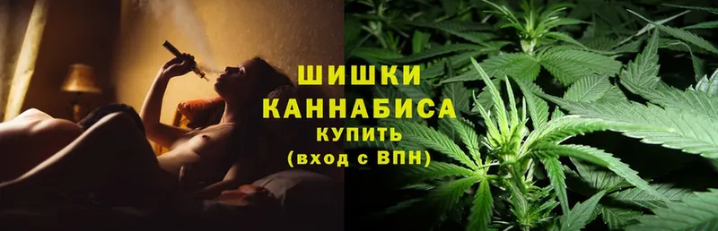 что такое   Губкин  Бошки Шишки SATIVA & INDICA 